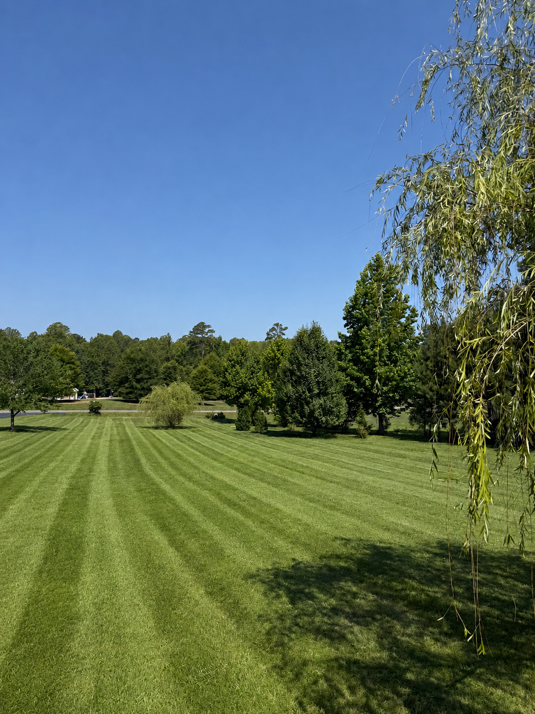 Weekly Mowing Program — Lawn Maintenance by Robertson Landscapes in Central Virginia