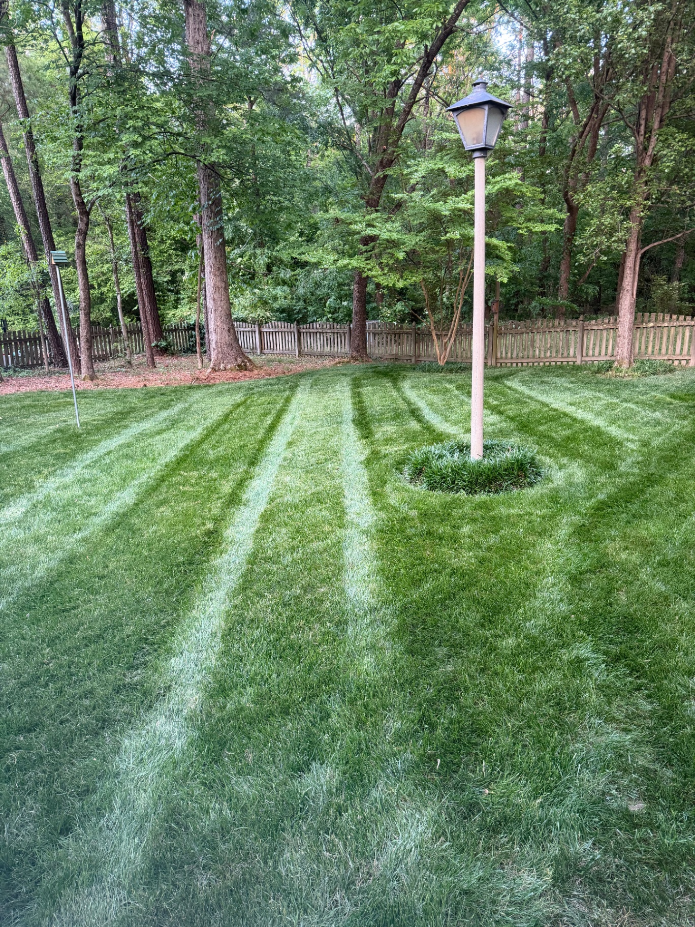 Clean Lines, Every Visit — Lawn Maintenance by Robertson Landscapes in Central Virginia
