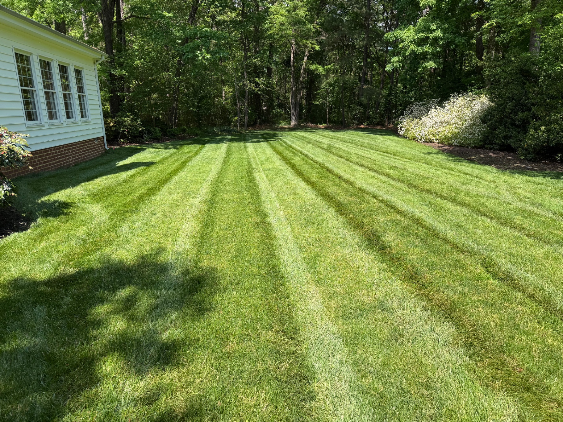 Striped Estate Lawn — Lawn Maintenance by Robertson Landscapes in Central Virginia